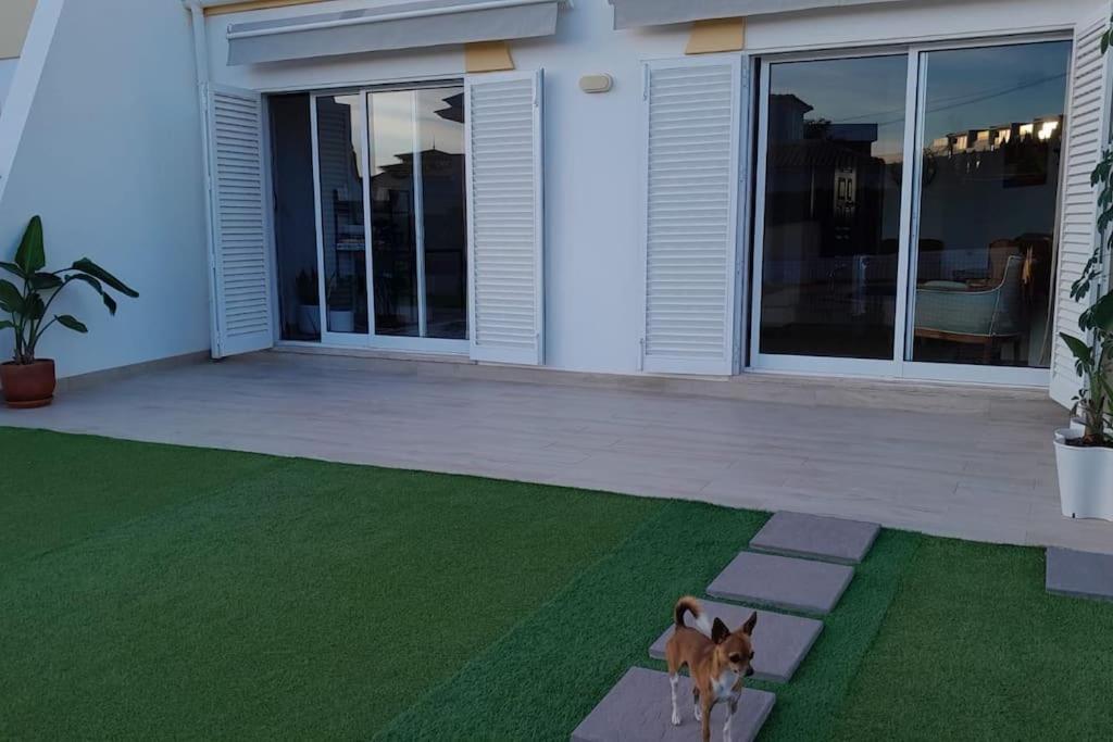 Gale Premium House - Pet Friendly Villa Albufeira Exterior foto
