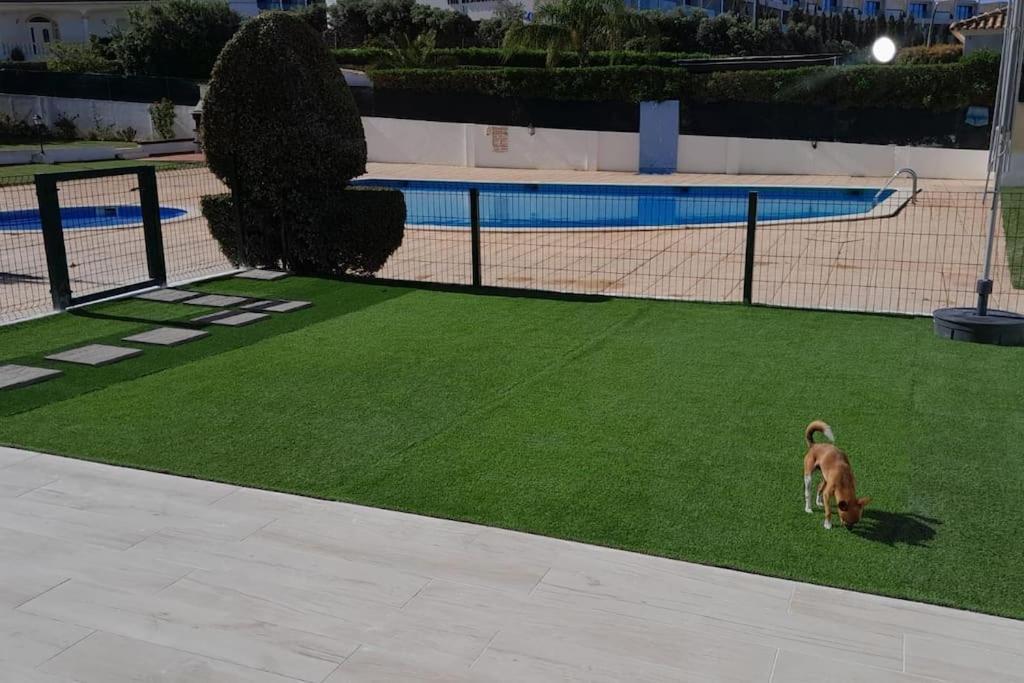 Gale Premium House - Pet Friendly Villa Albufeira Exterior foto