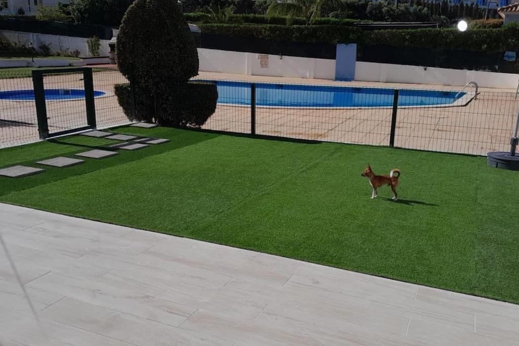 Gale Premium House - Pet Friendly Villa Albufeira Exterior foto
